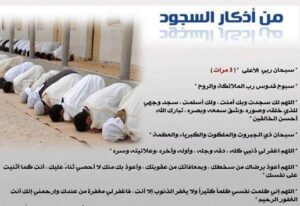 ماذا يقال في السجود
